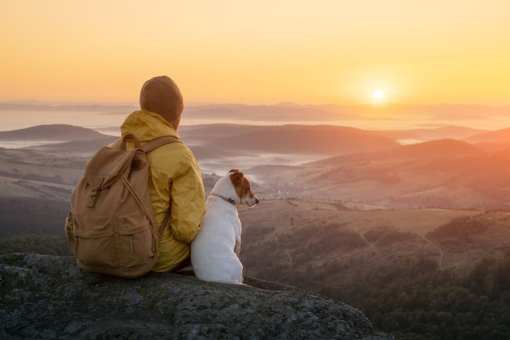 dog carrier backpack