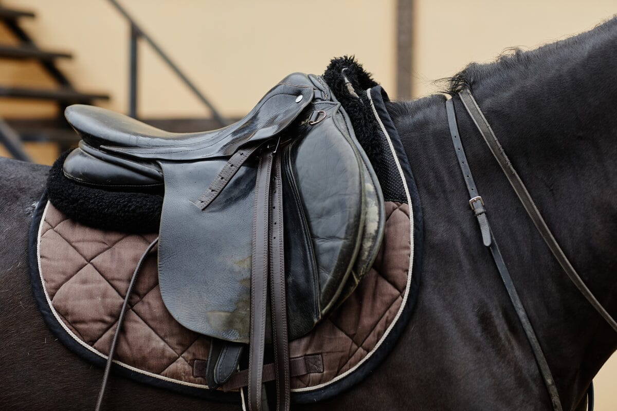 https://eikenshop.com/cdn/shop/articles/horse-with-leather-saddle-2022-07-27-21-46-02-utc_1_195a2160-a938-4091-bbd5-a074f6bf2fef.jpg?v=1739206201