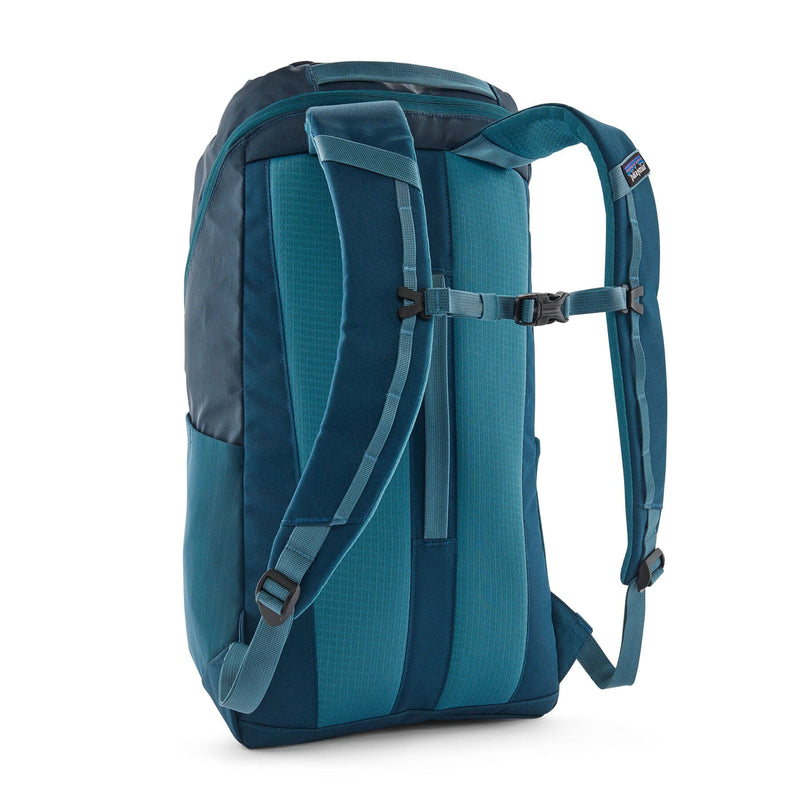 Patagonia Black Hole Pack 25L in tidal teal, back view