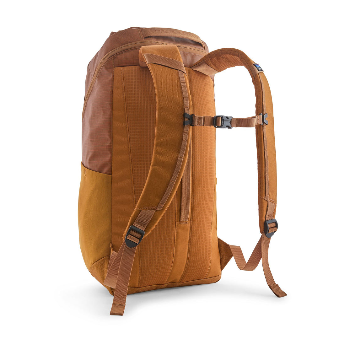 Black Hole Pack 25L in Cinnamon Brown — back view with padded harness and sternum strap