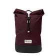 Aubergine