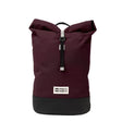 Aubergine