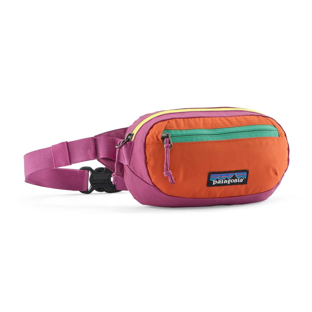 patagonia black hole mini messenger purple Terravia Mini Hip Pack