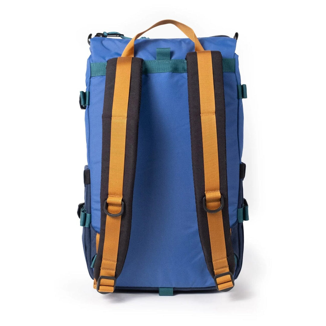 Rear view of the Rover Pack Classic in cobalt — light blue back panel with yellow shoulder straps